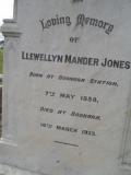 image of grave number 309801